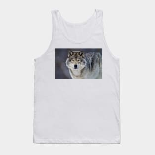 Gray Wolf Tank Top